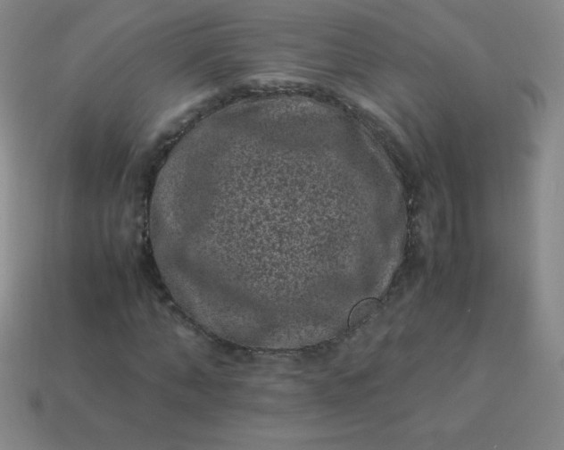 X0000113950870200910091607