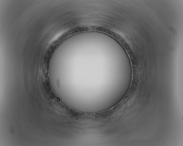 X0000113950871200910091607