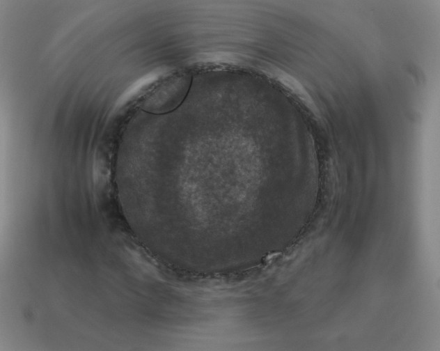 X0000113950872200910091606
