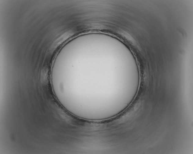 X0000113950873200910091606