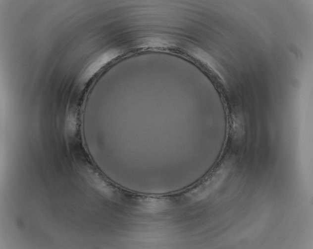 X0000113950874200910091606