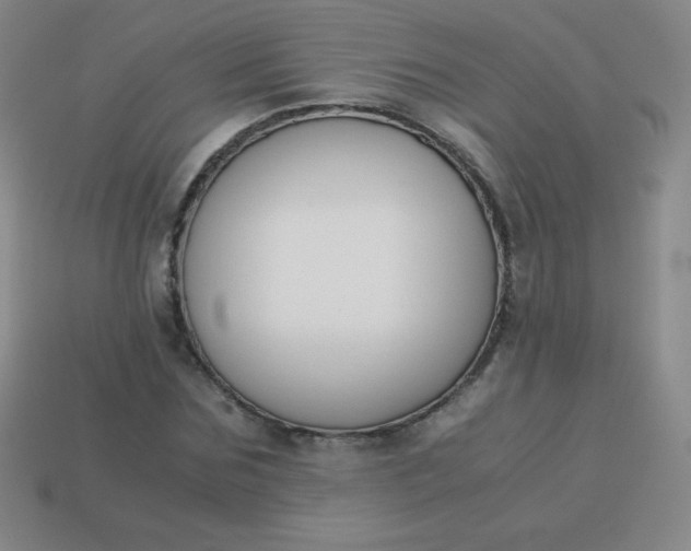 X0000113950875200910091606