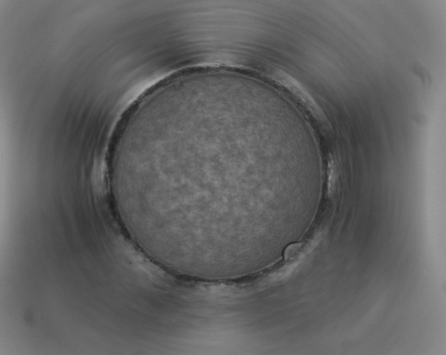 X0000113950876200910091606