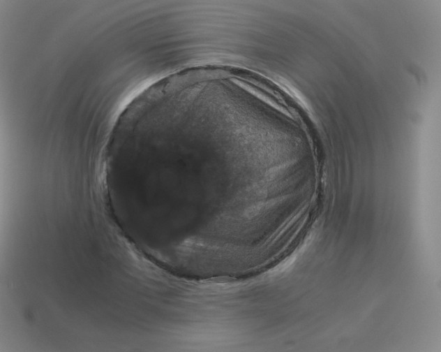 X0000113950877200910091606