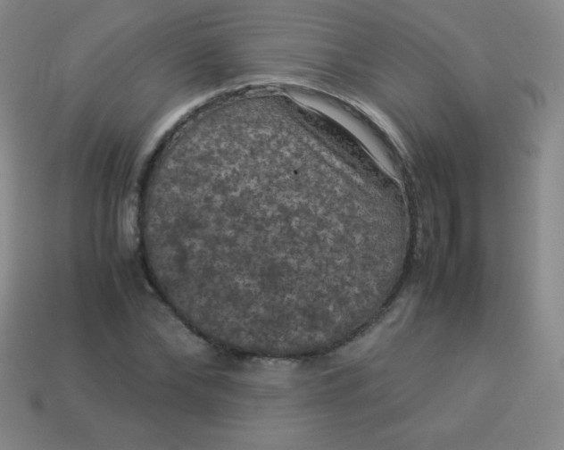X0000113950878200910091606