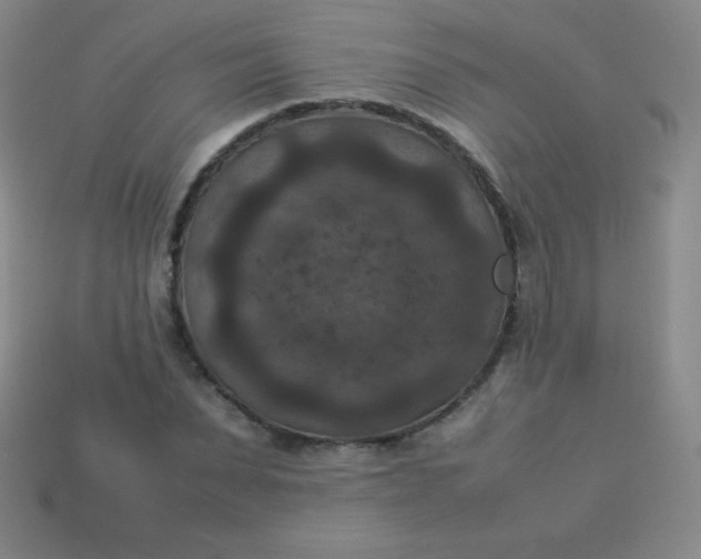 X0000113950879200910091606