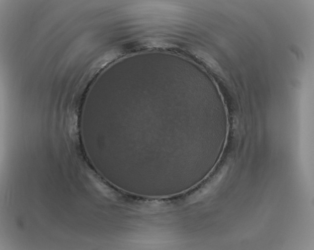 X0000113950881200910091606