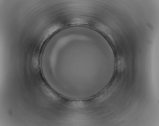 X0000113950882200910091606