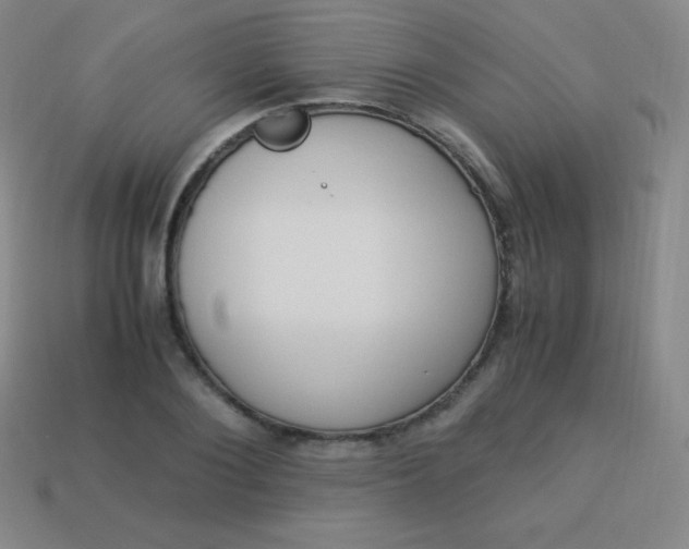 X0000113950884200910091606