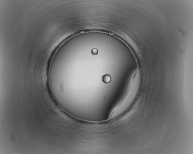 X0000113950885200910091606