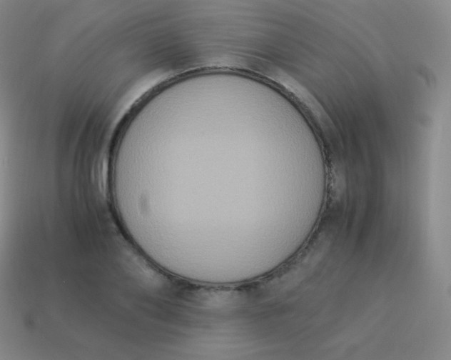 X0000113950886200910091606