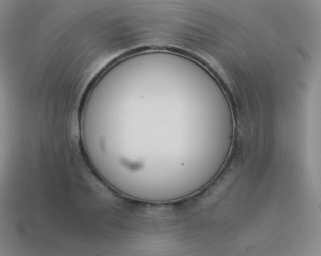 X0000113950887200910091606
