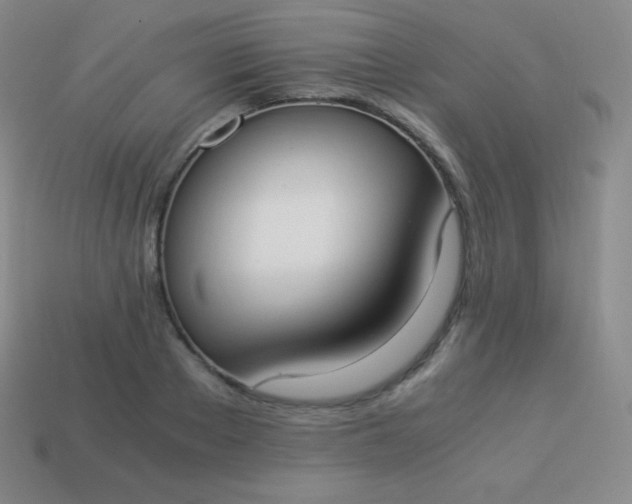 X0000113950889200910091606