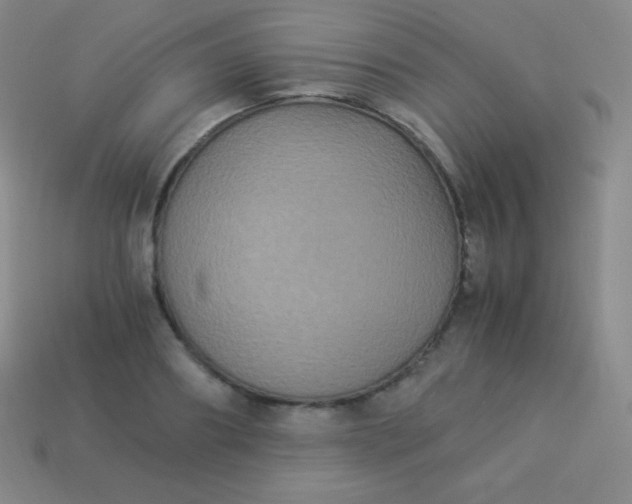 X0000113950890200910091606