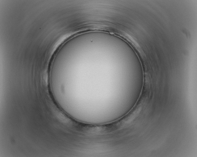 X0000113950891200910091606