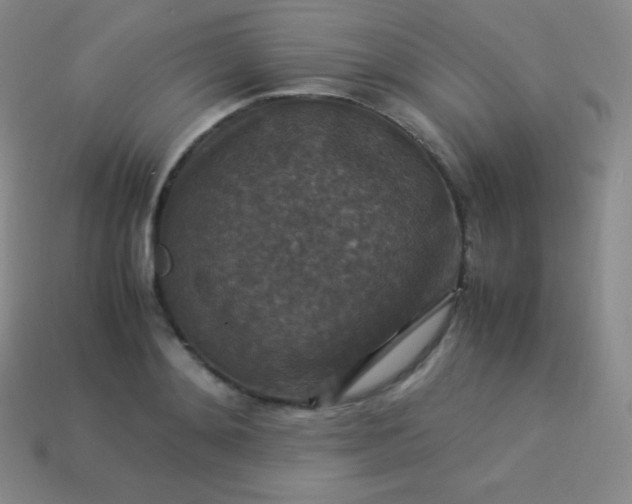 X0000113950892200910091606