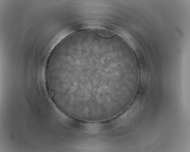 X0000113950893200910091606