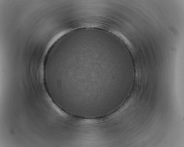 X0000113950894200910091606