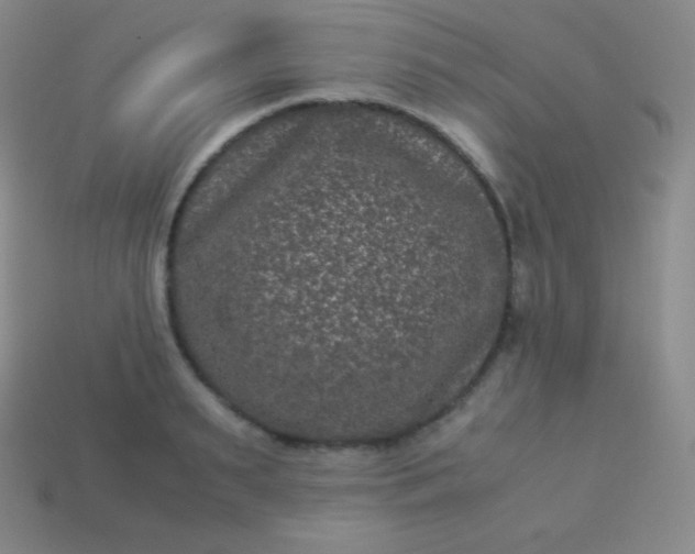 X0000113950895200910091606