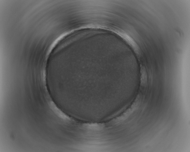 X0000113950896200910091606