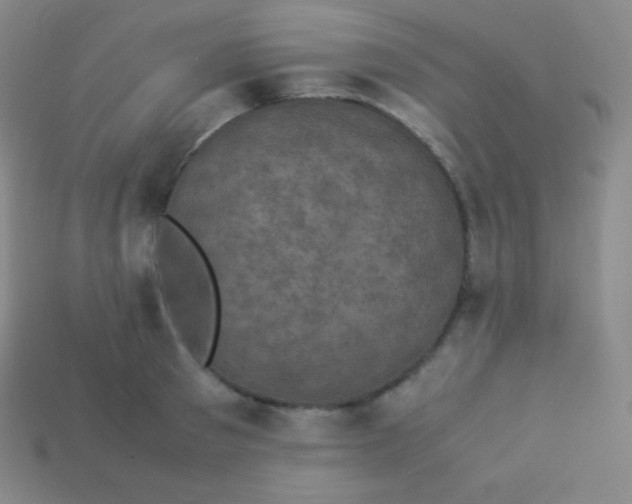 X0000113950897200910091606