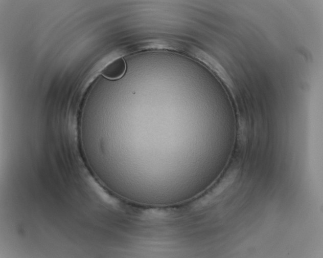 X0000113950898200910091606