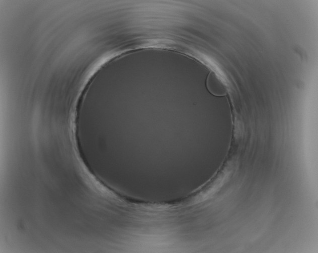 X0000113950899200910091606
