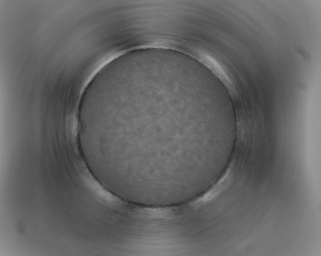 X0000113950900200910091606