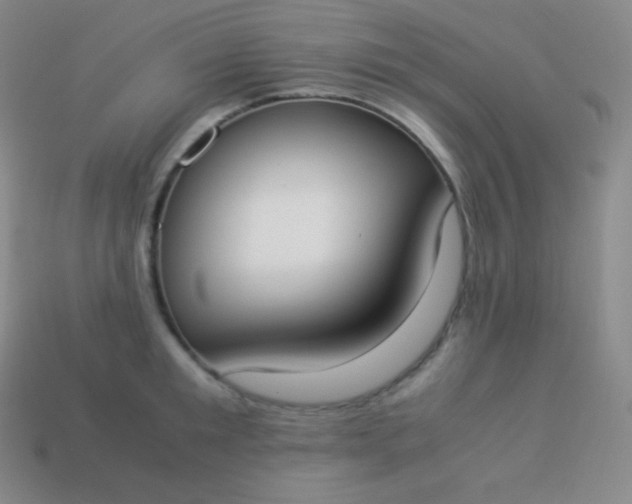 X0000113950901200910091606