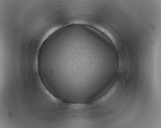 X0000113950902200910091606