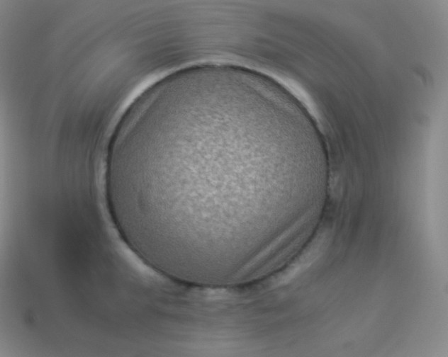X0000113950903200910091606