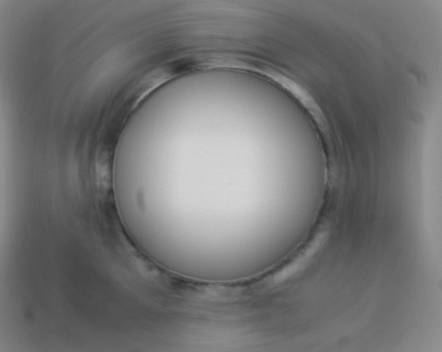 X0000113950905200910091606