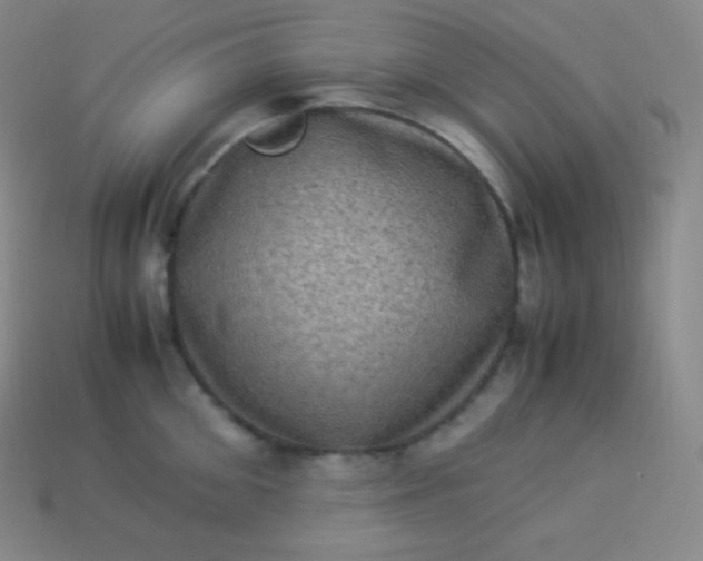 X0000113950906200910091606