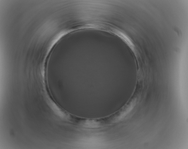 X0000113950907200910091606