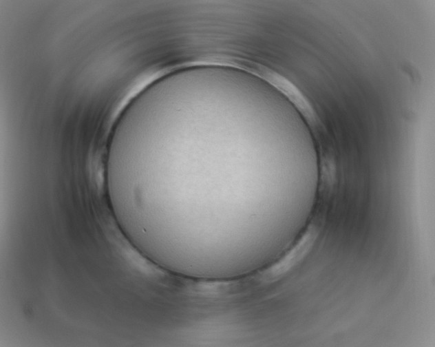 X0000113950908200910091606
