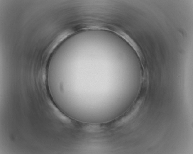 X0000113950909200910091606