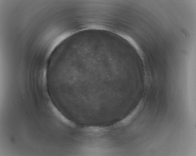 X0000113950910200910091606