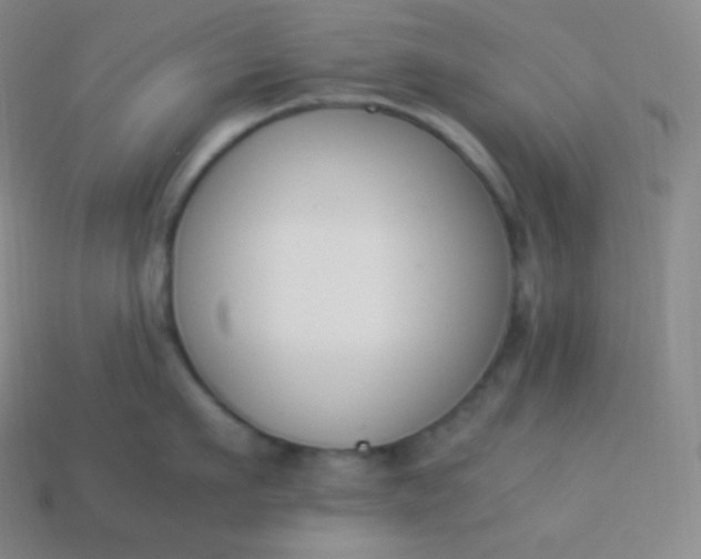 X0000113950911200910091606
