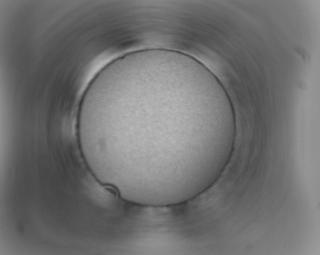 X0000113950912200910091606
