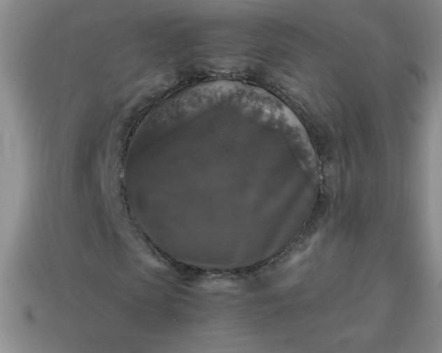 X0000113950913200910091605