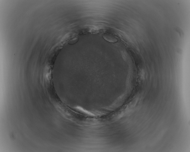 X0000113950914200910091605