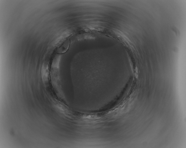 X0000113950915200910091605