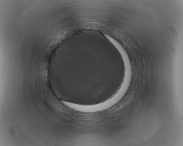 X0000113950916200910091605