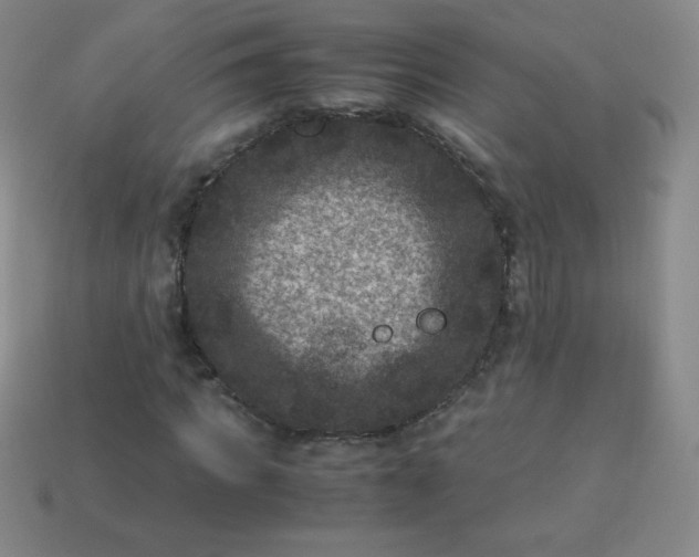 X0000113950917200910091605