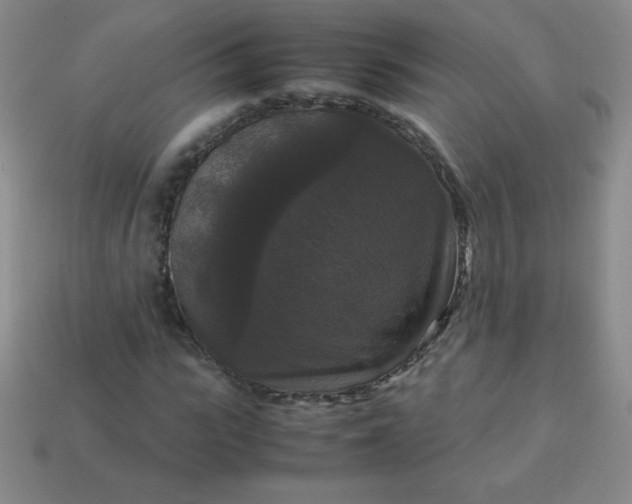 X0000113950919200910091605