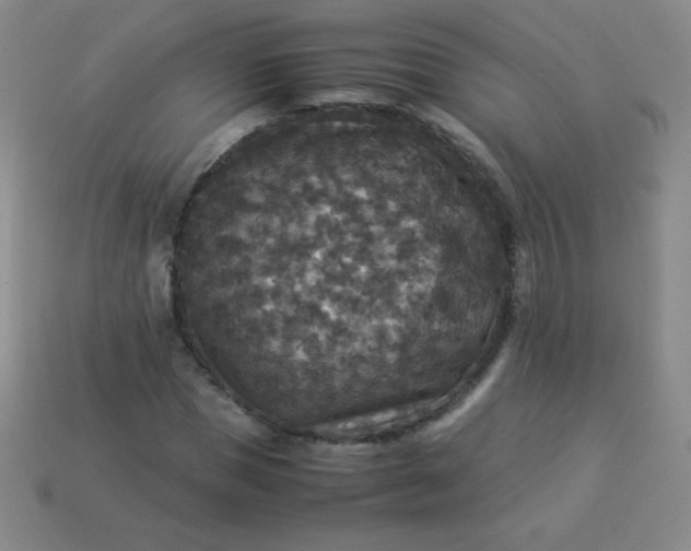 X0000113950921200910091605