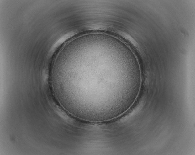 X0000113950922200910091605