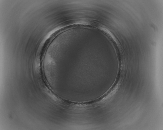 X0000113950923200910091605