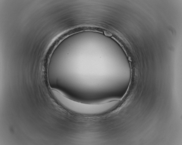 X0000113950926200910091605