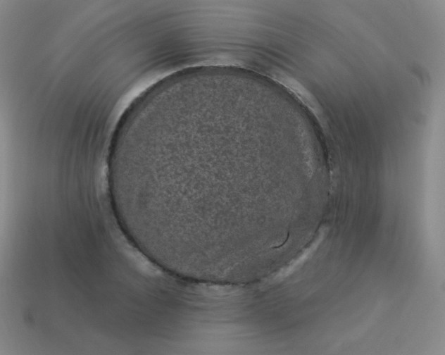 X0000113950928200910091605